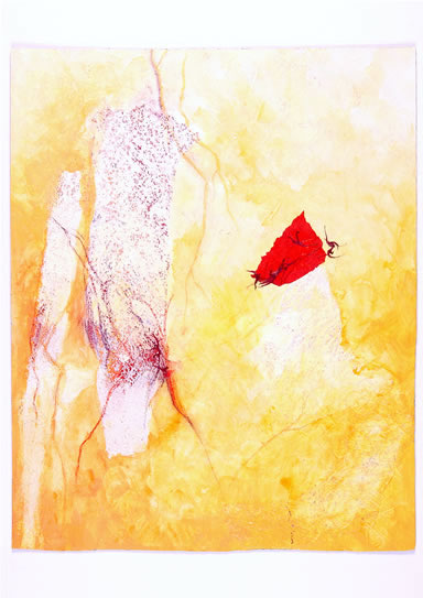 Verena Bauer - Bild